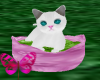 ~A~White Kitty