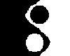 yin yang wings