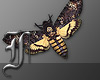 Deaths Head Moth