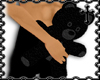 * Little Gothic Teddy