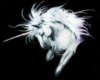Graceful Unicorn
