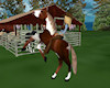 Lukkina forest pony