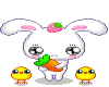 Cute Bunny