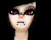BlackTeddyTastic