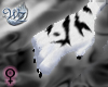 White Tiger Paws F