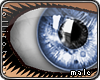 *L� iGlass Sky