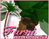 Palm Tree - Furni