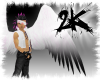 (2k) B&W Wings