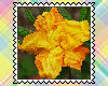 Spring/Sum-FlowerStamps
