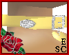 `EC Gold Class Collar