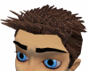 Reddish Brown Spikes