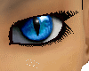 Blue Cat Eyes [F]
