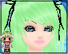 Lime Misa