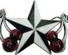 Metal Star and Cherries
