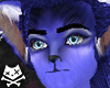 Azure Wolf Fur (M)
