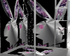 Bunny Animated Shower