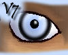 (male)blue tiger eyes