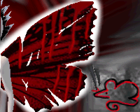 Torn Butterfly Wings