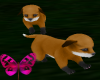 ~A~2 Cute Foxies