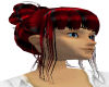 (ap)Red and black st202