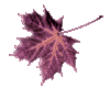 sticker_2487428_4350144