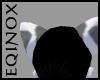 Grey & White Dog Ears