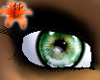 Prism Eyes Emerald City