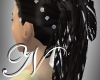 ~N~ Princess Sarah Falls