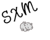 Hippo