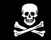 Skull & crossbones T