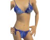 Blue Silk Bikini