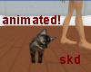 (SK)AnimatedTortieKitten