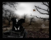 DARK ANGEL in CEMETARY