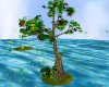 Fairy Paradise Island