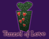 Heart Column Hedge