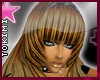 [V4NY] Tokimi DLight