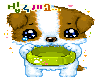Hungry Puppy