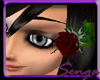 Romantic red rose