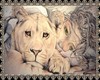 Lion Princess