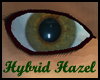 Hybrid Hazel