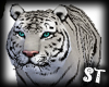White Tiger
