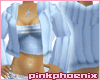 Angel Chinchilla Bundle