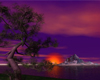 Purple Sunset