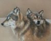 {et} wolf sound howl3