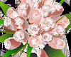 [TGUU] Soft pink roses
