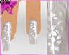 Delux Collection -Clear
