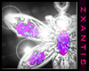 :z Amethyst Dragonfly NL