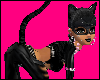 ! Cat tail Black !