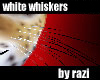 White Whiskers