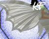 White Wings